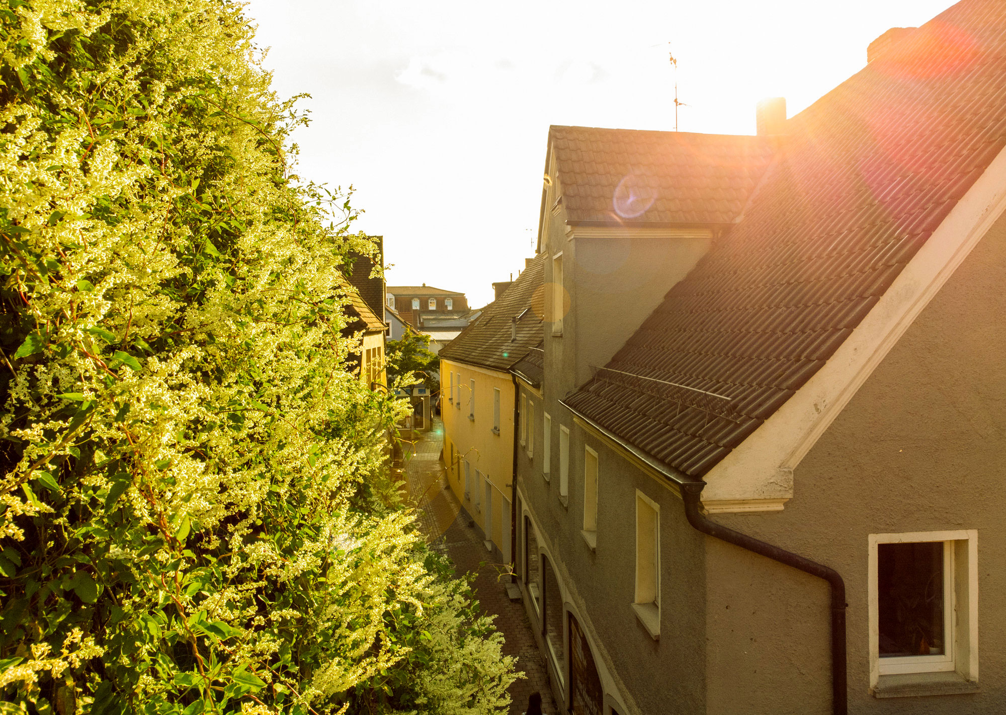 Neubäckergasse